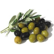 Olive Oil