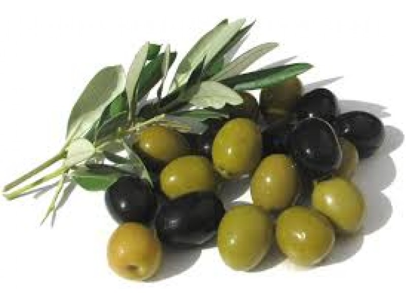 Olive Oil