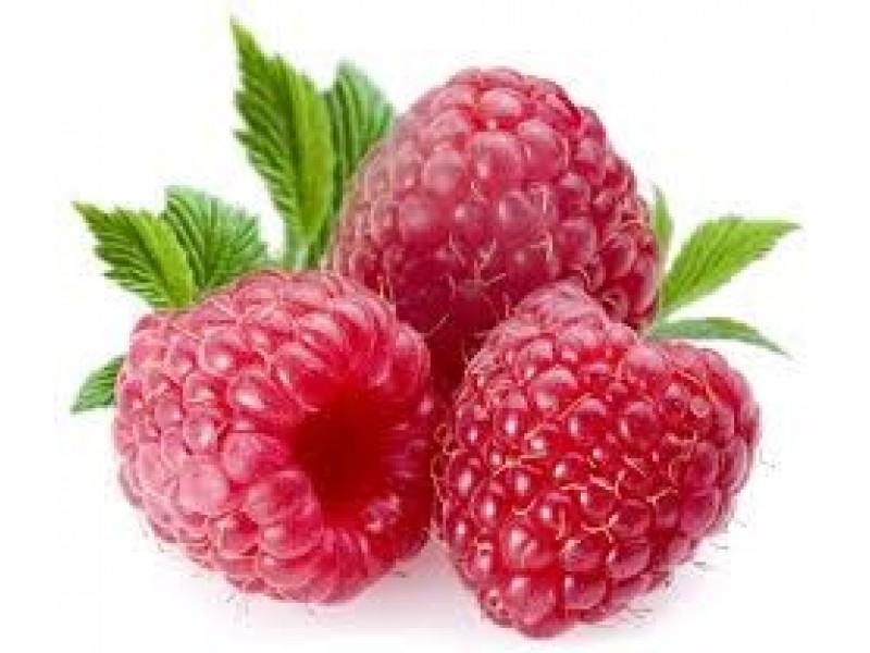 Raspberry Seed Oil