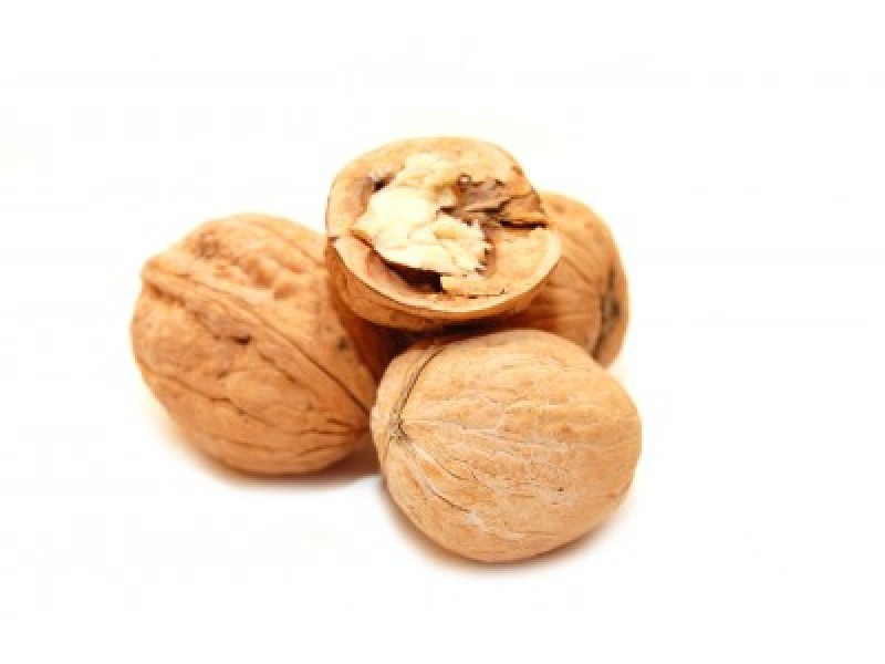 Walnut Oil