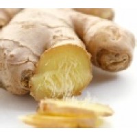 Ginger, Zingiber officinalis Roscoe