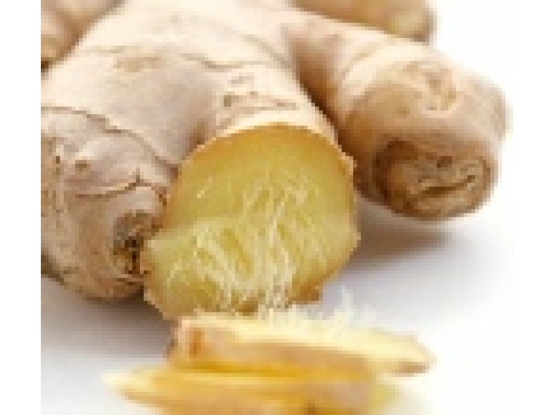 Ginger, Zingiber officinalis Roscoe